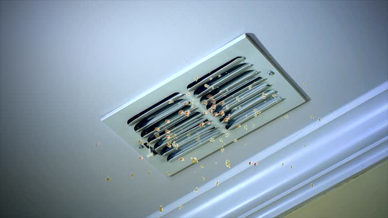 Best Air Duct Cleaning Company Near Me  in Willmsburg, IA