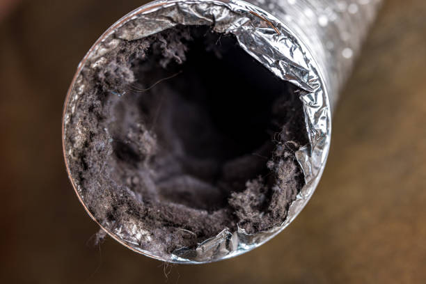 Best Dryer Vent Cleaning Services  in Willmsburg, IA