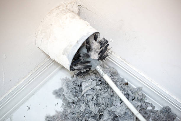 Best Residential Air Duct Cleaning  in Willmsburg, IA