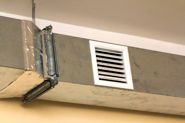Best Dryer Vent Cleaning Services  in Willmsburg, IA